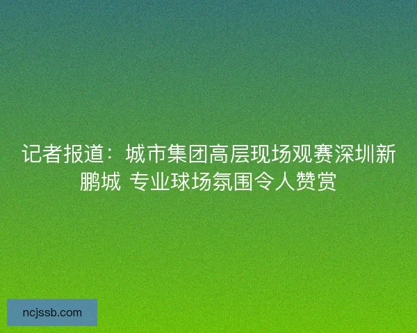 记者报道：城市集团高层现场观赛深圳新鹏城 专业球场氛围令人赞赏
